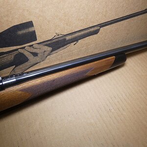 guns 149.JPG