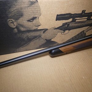 guns 160.JPG