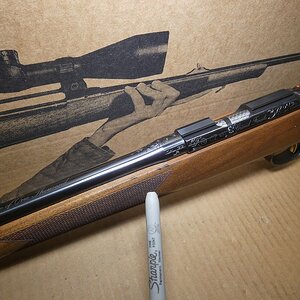 guns 166.JPG
