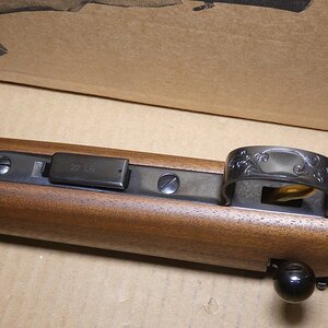 guns 176.JPG
