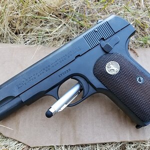 colt1.jpg