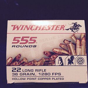 winchester 22lr 555 -2.jpg