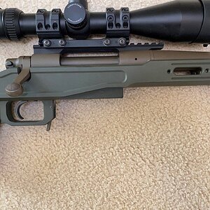 Gun3.jpg