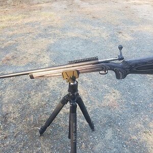 sav112_1.jpg