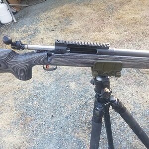 sav112_2.jpg