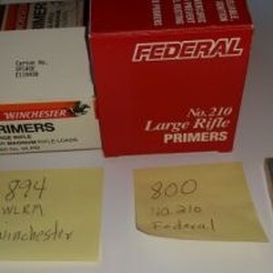 primers1.jpg
