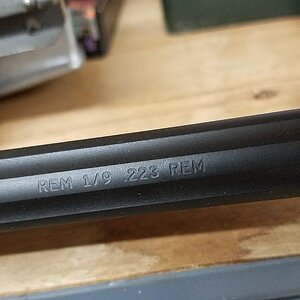 20201009_210101.jpg
