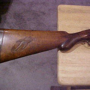 MVC-181S.JPG
