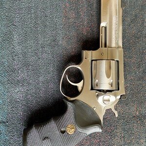 Ruger DP100 #1.JPG