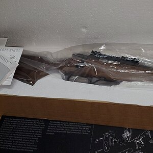 20201101_073606.jpg