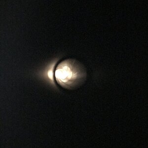 A232A50D-8044-43CF-BEE0-2F80B4761A84.jpeg