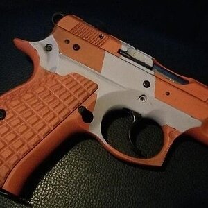 Zapper-CZ-1.jpg