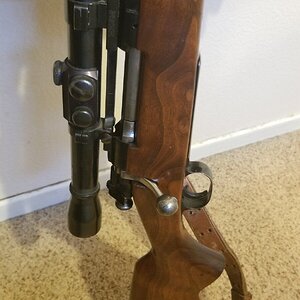 20201111_152358.jpg