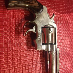 Colt2.jpeg