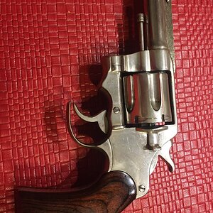 Colt.jpeg