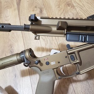 20201113_145849.jpg