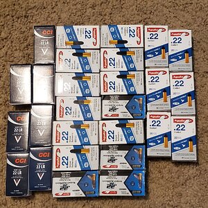 20201117_130523.jpg