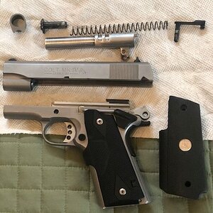 Colt.jpg