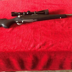 Remington Seven.8th.jpg
