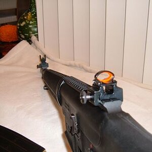 Shotgun-4.jpg