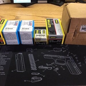 Bullets for reloading.jpg