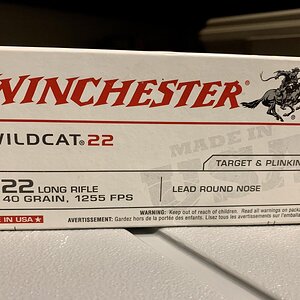 winchester.jpg