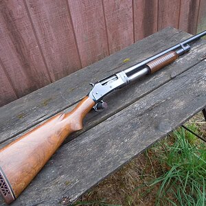 Shotguns 001.JPG