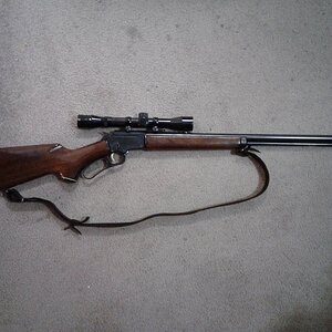 Marlin39.jpg