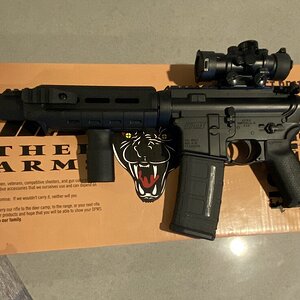 DPMS_1.jpg
