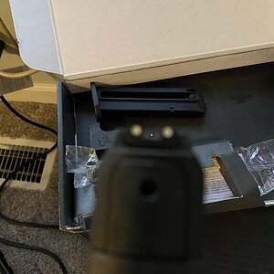 IMG_3779.jpg