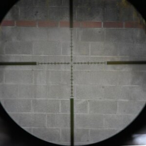 Reticle.JPG