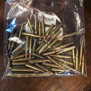308.JPG