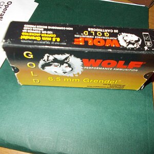 DSCN0029.JPG