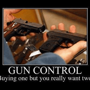 Gun control.png