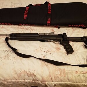 mini14 1.jpg