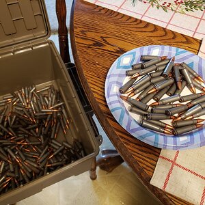 7.62x39 sorted.jpg