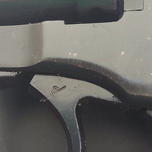20210209_115148.jpg