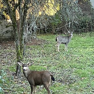 IMG_0782.jpg