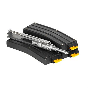 cmmg 22 conversion.jpg