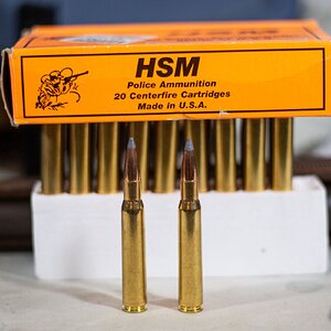 Ammo#8.jpg