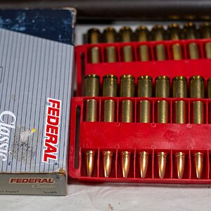 Ammo#4.jpg