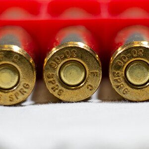 Ammo#5.jpg