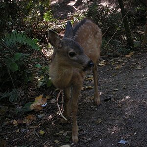 DSCN2842.JPG
