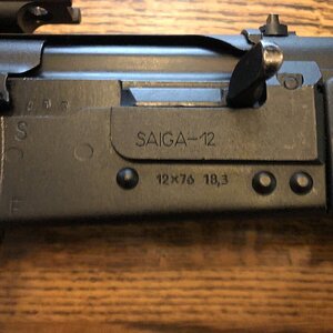 Saiga 3.jpg