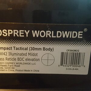 osprey 1.jpg