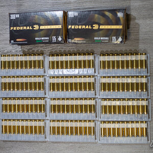 Shells#2.jpg