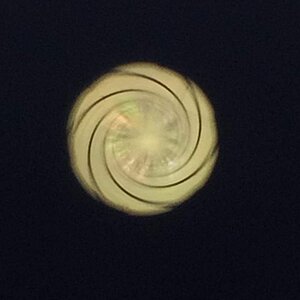 43329CC6-AFE6-40C2-A1F4-F7B9396F5FD3.jpg