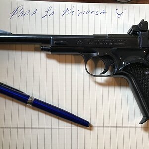 P1.jpg