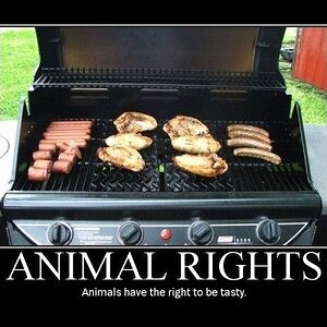 animalrights-500x400.jpg