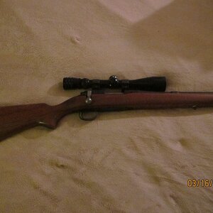 .257 Roberts 004.JPG
